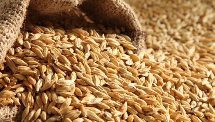 “buğday fiyatlarının ekim yapılırken açıklanmasını istiyoruz”