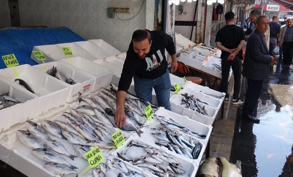 balıkçılar yeni sezonda bol balık çeşitleri bekliyor