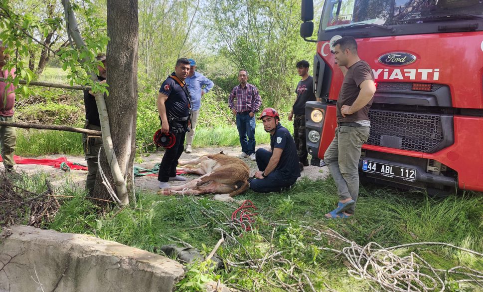 kuyuya düşen inek itfaiye ekipleri tarafından kurtarıldı